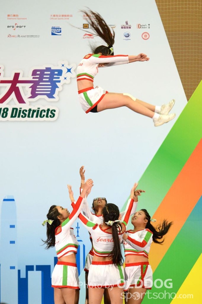 Cheering Team (71)