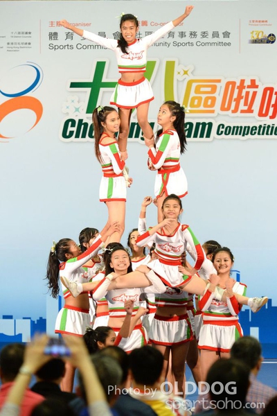 Cheering Team (75)