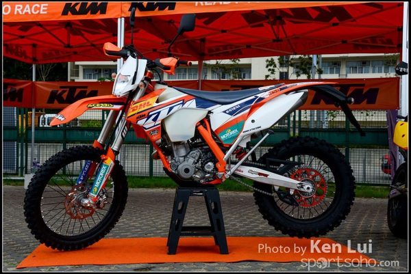 20150403Bull X 1002