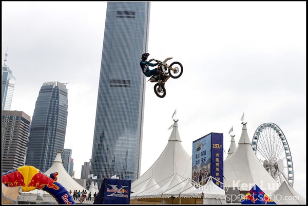 20150403Bull X 1058