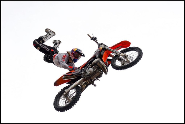20150403Bull X 1059