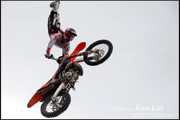 20150403Bull X 1077
