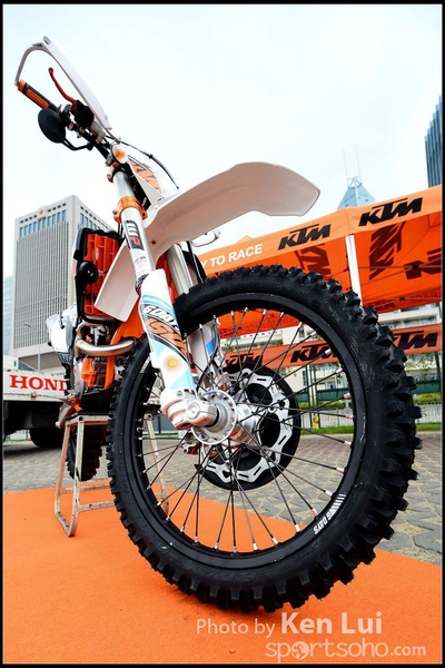 20150403Bull X 1097
