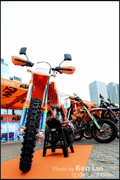 20150403Bull X 1098