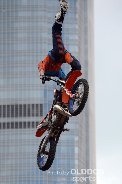 Red Bull (16)