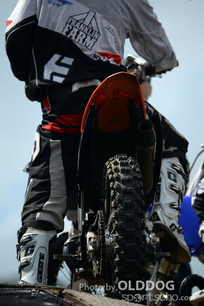 Red Bull (21)