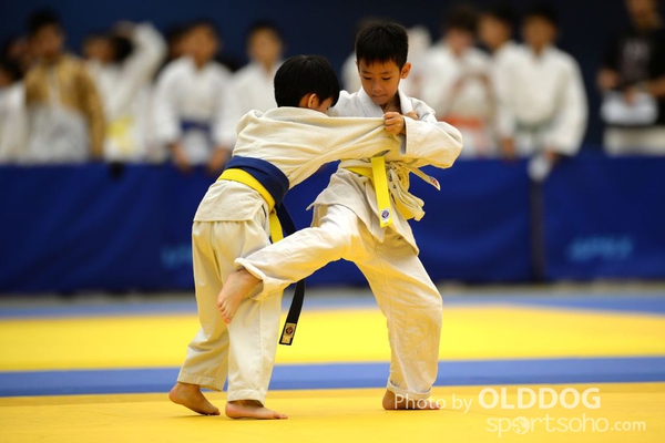 Judo (2)