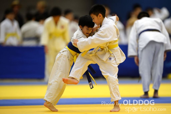 Judo (3)