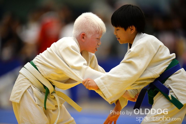 Judo (4)