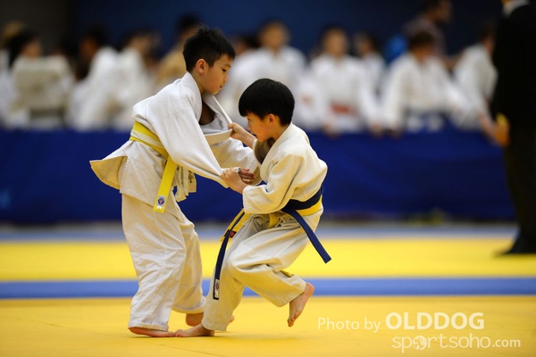 Judo (7)