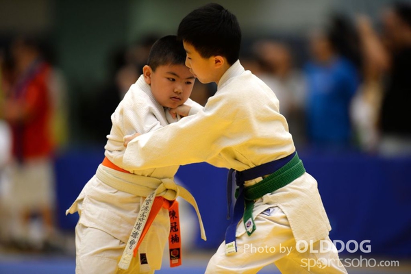 Judo (15)