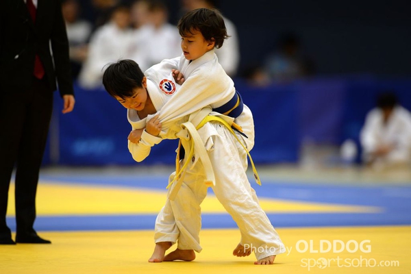 Judo (17)