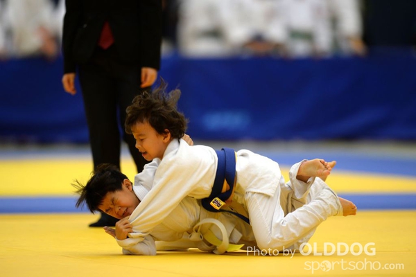 Judo (19)