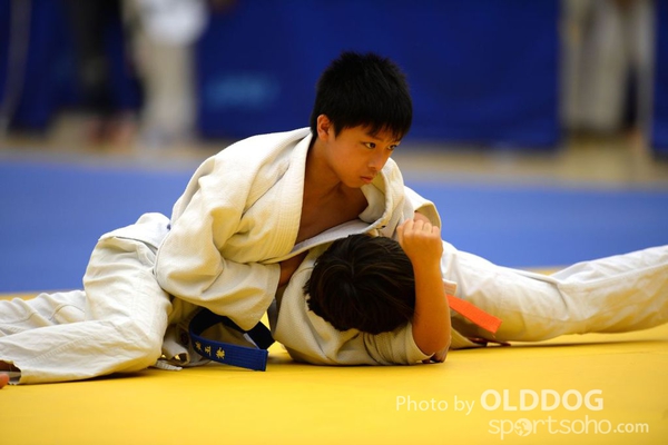 Judo (20)