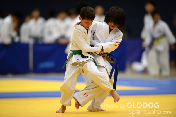 Judo (24)