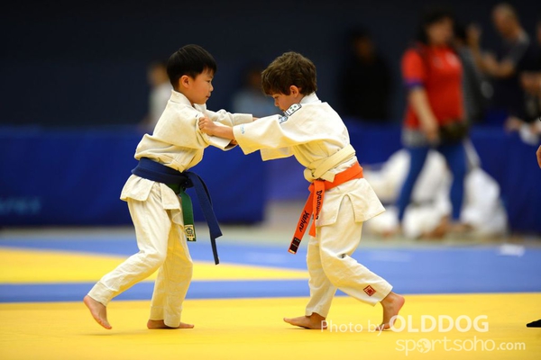 Judo (31)