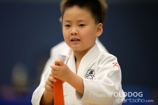 Judo (35)