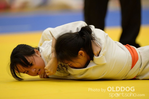 Judo (60)