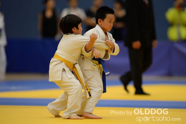 Judo (106)