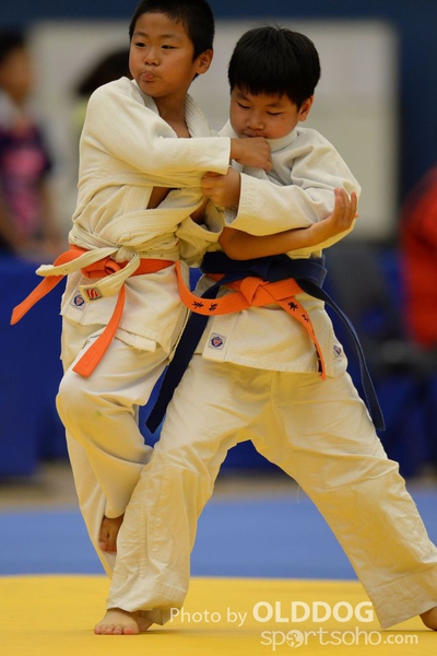 Judo (140)