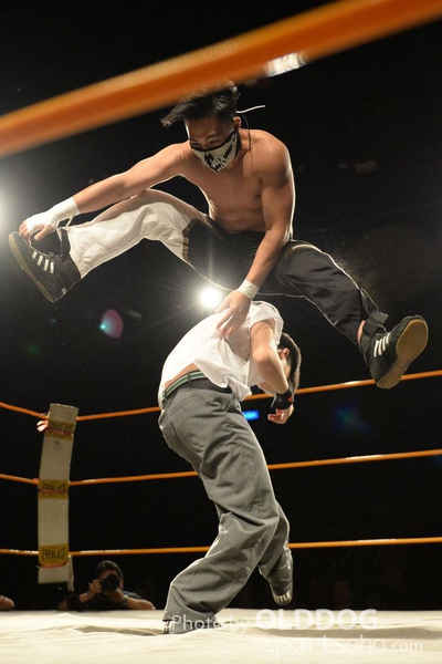 Wrestling (8)