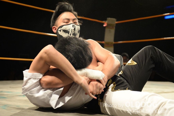 Wrestling (10)