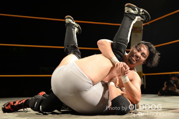 Wrestling (33)