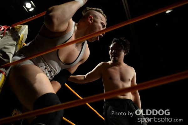 Wrestling (34)