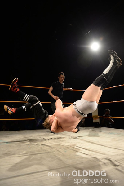 Wrestling (39)