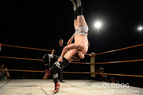 Wrestling (40)