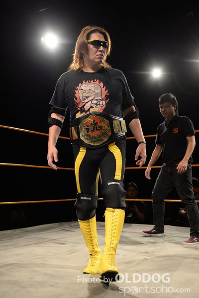 Wrestling (49)