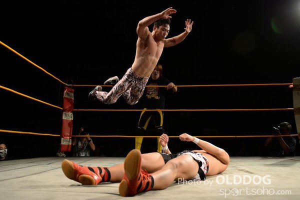 Wrestling (80)