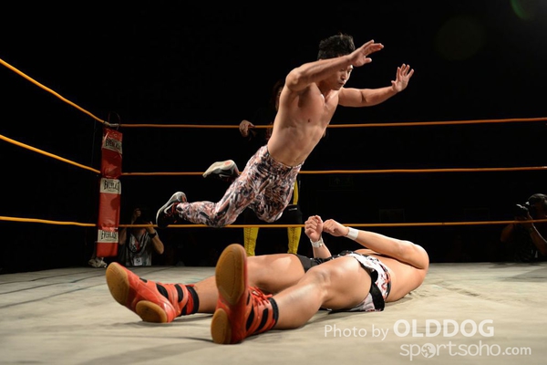 Wrestling (81)