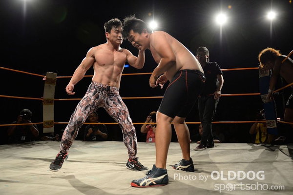 Wrestling (83)