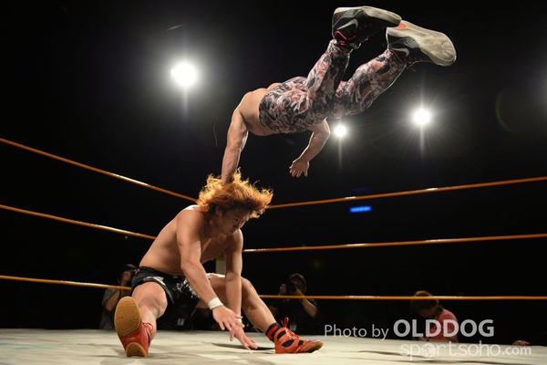 Wrestling (85)