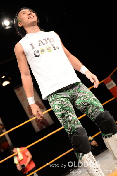 Wrestling (94)
