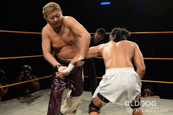 Wrestling (99)