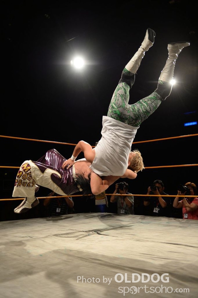 Wrestling (109)