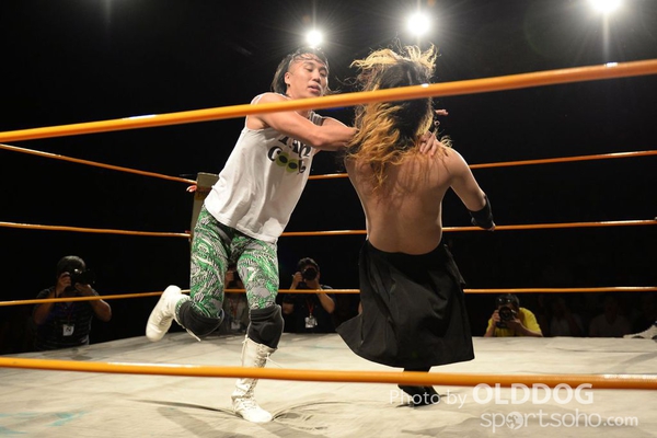 Wrestling (113)
