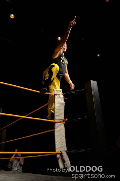 Wrestling (159)