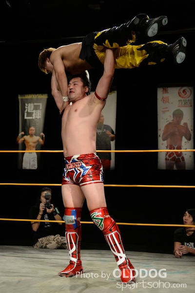 Wrestling (166)
