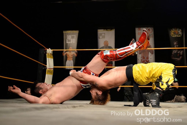 Wrestling (195)
