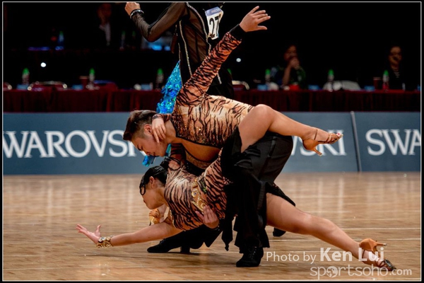 201506020WDSF1541