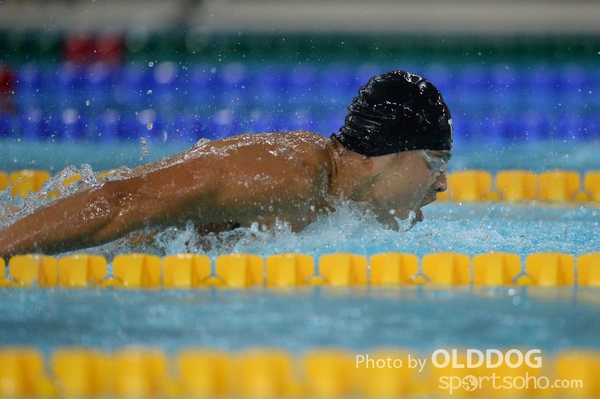 Swimming (194)