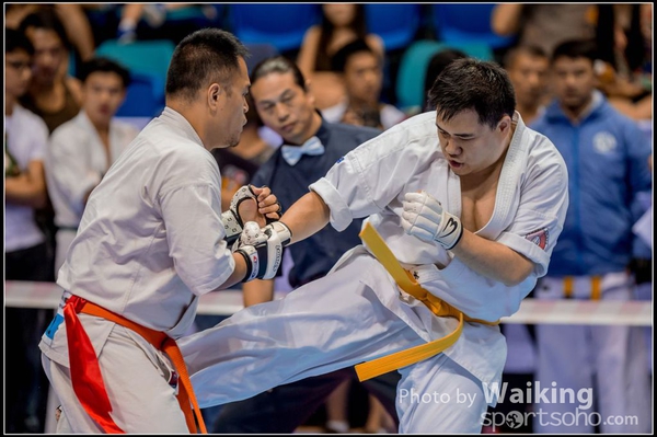 20150906 Karate 0080