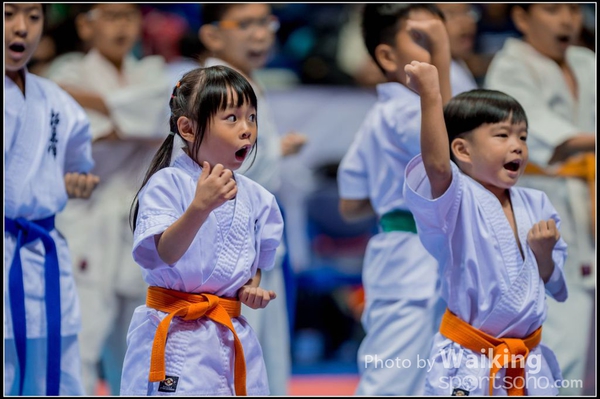 20150906 Karate 0296