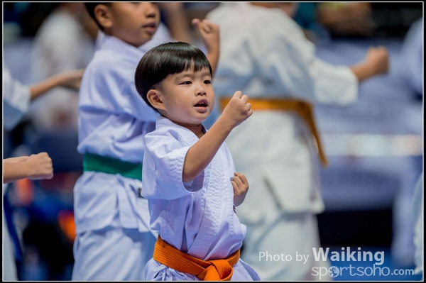 20150906 Karate 0298