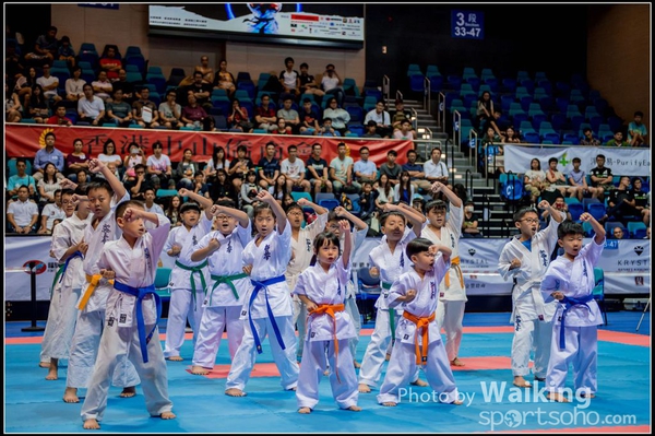 20150906 Karate 0299