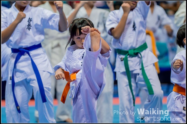 20150906 Karate 0300
