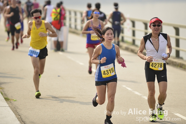 alice_ALF8412